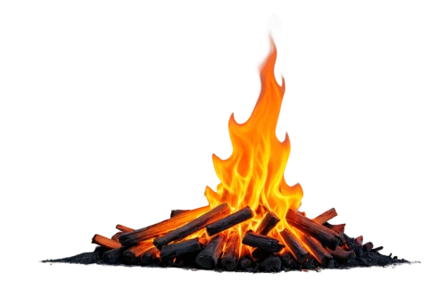 fire logo,fire background,burned firewood,fire wood,wood fire,fire in fireplace,fire ring,fire-extinguishing system,bonfire,fires,burning of waste,november fire,the conflagration,triggers for forest fire,easter fire,burnout fire,inflammable,fire beetle,log fire,bushfire,Conceptual Art,Daily,Daily 29