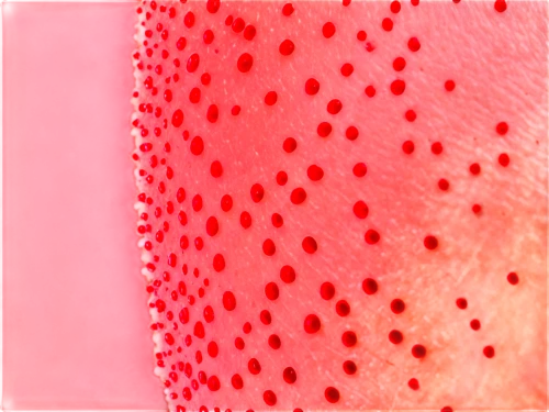 sliced watermelon,watermelon background,dragonfruit,watermelon,cut watermelon,watermelon pattern,melon,watermelons,pitaya,watermelon wallpaper,watermelon painting,trypophobia,strawberry juice,strawberry ripe,strawberry,dragon fruit,watermelon slice,strawberry popsicles,fruit pattern,seedless fruit,Conceptual Art,Daily,Daily 18