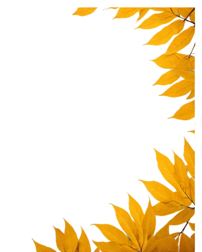fall leaf border,leaf background,spring leaf background,sunflower lace background,leaves frame,fall picture frame,wreath vector,birch tree background,paper cutting background,maple foliage,autumn leaf paper,autumn background,gold foil laurel,yellow leaves,autumn frame,yellow maple leaf,leaf border,chrysanthemum background,palm tree vector,foliage coloring,Art,Artistic Painting,Artistic Painting 26