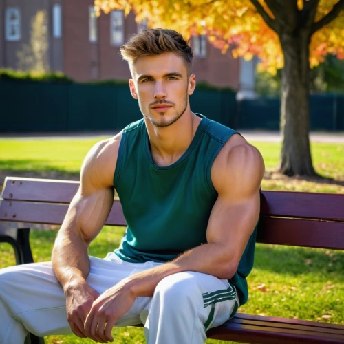 man on a bench,baseball player,park bench,american baseball player,outdoor bench,male model,bench,red bench,rugby player,danila bagrov,austin stirling,baseball coach,bench chair,in the park,baseball uniform,sexy athlete,fitness professional,benches,fitness model,baseball players,Art,Artistic Painting,Artistic Painting 37