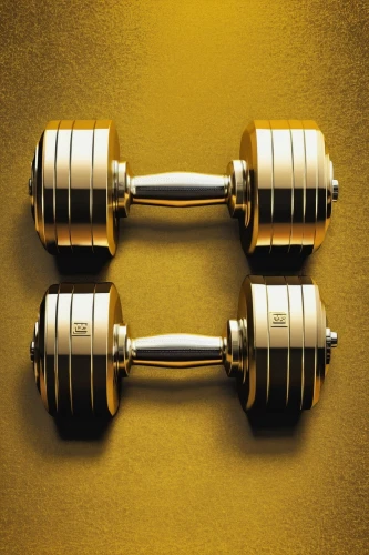 pair of dumbbells,dumbbells,dumbbell,weights,dumbell,dumb bells,weight plates,biceps curl,workout equipment,barbell,handles,kettlebells,exercise equipment,workout icons,strength training,kettlebell,weight lifter,weight lifting,workout items,brass,Art,Artistic Painting,Artistic Painting 22