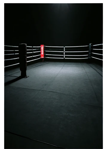 striking combat sports,combat sport,boxing ring,sanshou,mma,shoot boxing,chess boxing,ufc,lethwei,boxing,professional boxing,mixed martial arts,boxing equipment,kickboxing,punching bag,octagon,pankration,bruges fighters,a dark room,conceptual photography,Illustration,Children,Children 03