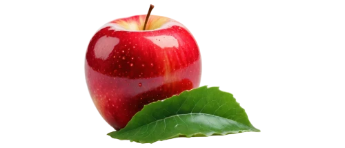 rose apple,red apple,worm apple,jew apple,star apple,piece of apple,greed,bladder cherry,red fruit,fruit-of-the-passion,core the apple,wild apple,red apples,apple logo,fruit cup,bell apple,pitahaya,pitaya,edible fruit,candy apple,Illustration,Retro,Retro 03
