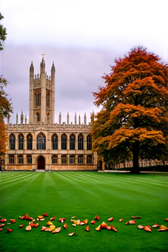 oxford,trinity college,usyd,colleges,highclere castle,fountain lawn,academic institution,agricultural engineering,orange robes,pineapple field,music conservatory,cambridgeshire,university of wisconsin,croquet,collegiate basilica,autumn decor,stanford university,private school,green lawn,downton abbey,Illustration,Vector,Vector 03