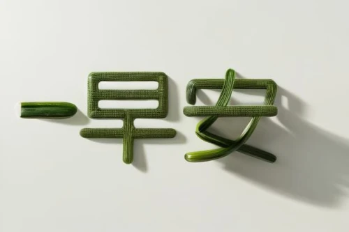 yuan,chinese icons,chinese celery,japanese character,brass chopsticks vegetables,junshan yinzhen,lucky bamboo,longjing tea,xiaolongbao,pla,chinese style,traditional chinese,3d object,green folded paper,sencha,pak-choi,cha siu bao,chinese art,isolated product image,zui quan,Realistic,Flower,Lily Of The Valley