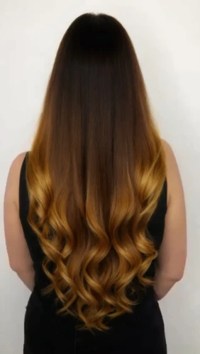 caramel color,golden cut,smooth hair,layered hair,natural color,cg,asymmetric cut,hair,shoulder length,rainbow waves,oriental longhair,back of head,colorpoint shorthair,caramel,trend color,british semi-longhair,chevron,asian semi-longhair,yellow brown,bunny tail