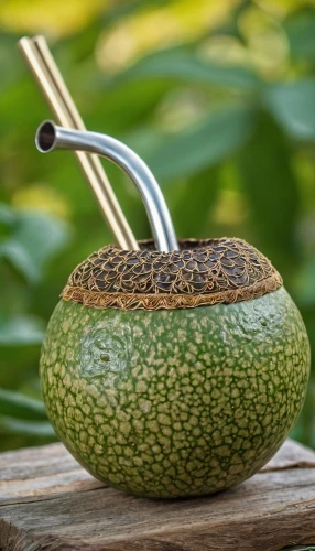 snake gourd,pointed gourd,figleaf gourd,bottle gourd,ornamental gourds,bitter gourd,tea infuser,gourd,melon cocktail,decorative squashes,garden shovel,muskmelon,fragrance teapot,breadfruit,avacado,pitahaya,cucumber  gourd  and melon family,garden pipe,brauseufo,pitahaja,Photography,General,Realistic