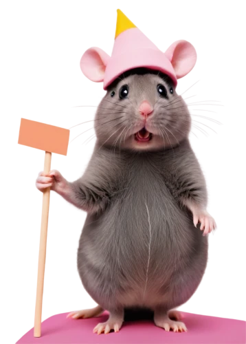 year of the rat,rat,rat na,rataplan,color rat,lab mouse icon,musical rodent,mouse,mouse bacon,ratatouille,ratite,mice,gerbil,mousetrap,rodent,straw mouse,beaver rat,rodentia icons,baby rat,white footed mouse,Photography,Documentary Photography,Documentary Photography 30