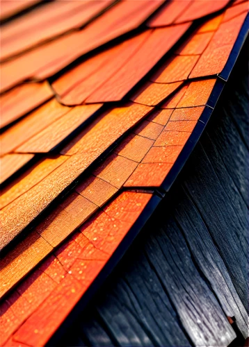 roof tiles,wooden roof,slate roof,roofing,roof landscape,roof panels,house roofs,roof tile,roofing work,house roof,the old roof,red roof,roofs,tiled roof,reed roof,metal roof,roofing nails,wooden planks,siding,terracotta tiles,Conceptual Art,Sci-Fi,Sci-Fi 07