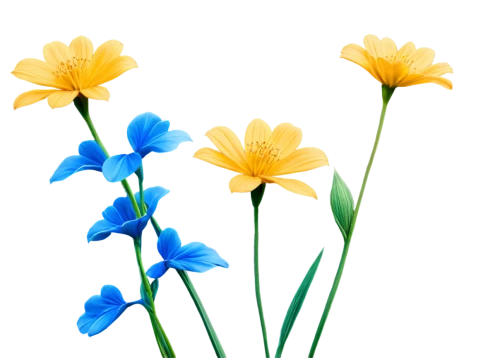flowers png,minimalist flowers,blue daisies,flower background,defense,blue flowers,yellow and blue,flower illustrative,blue flower,daffodils,cartoon flowers,himilayan blue poppy,cleanup,edible flowers,flower illustration,artificial flower,single flowers,three flowers,blue petals,jonquils,Conceptual Art,Fantasy,Fantasy 15