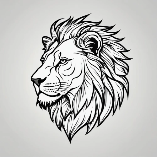 lion white,lion,panthera leo,skeezy lion,lion number,masai lion,lion head,zodiac sign leo,male lion,white lion,female lion,african lion,two lion,stone lion,lion father,lion - feline,forest king lion,lion capital,lions,line art animal,Photography,General,Realistic