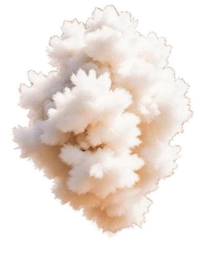 cloud mushroom,cloud of smoke,cumulus nimbus,paper clouds,cloud image,dust cloud,smoke plume,cloud shape,cloud shape frame,cumulus cloud,cloud roller,soft coral,swelling cloud,partly cloudy,emission fog,abstract smoke,cloud play,cloud,cumulus,cloud mountain,Illustration,Realistic Fantasy,Realistic Fantasy 09