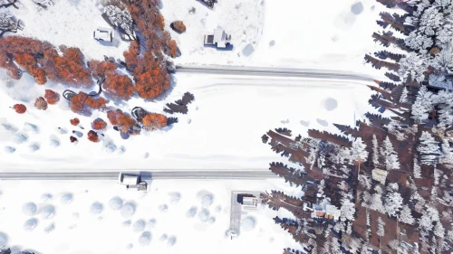 drone image,drone photo,drone shot,drone view,aerial landscape,satellite imagery,overhead shot,flight image,aerial photography,aerial photograph,snow fields,aerial shot,overhead view,aerial image,snow roof,dji spark,aroostook county,mavic 2,fairbanks,satellite image,Landscape,Landscape design,Landscape Plan,Winter