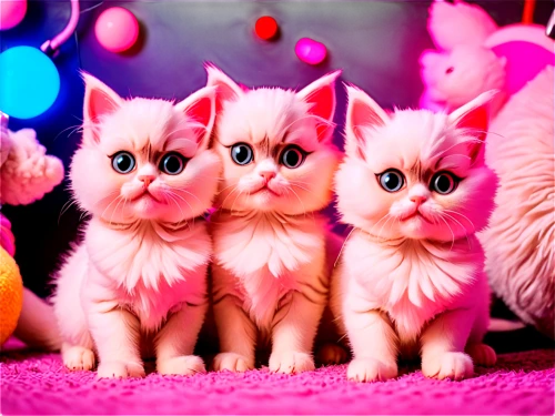 pink cat,pink family,kittens,pinkladies,pink bow,cute cat,pink macaroons,the pink panter,pink background,color pink,doll cat,bright pink,baby cats,cute animals,color pink white,pink,cat family,cat kawaii,hot pink,pink-white,Conceptual Art,Sci-Fi,Sci-Fi 27