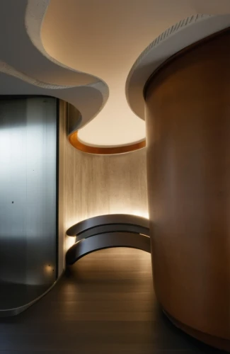 circular staircase,corten steel,elevators,contemporary decor,recessed,wall light,interior modern design,assay office,search interior solutions,hallway space,lobby,winding staircase,modern decor,wall lamp,interior decoration,horn loudspeaker,archidaily,walt disney concert hall,under-cabinet lighting,revolving door,Photography,General,Realistic