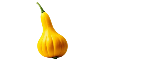 yellow pepper,yellow bell flower,bitter gourd,serrano pepper,gem squash,yellow bell,yellow onion,pointed gourd,yellow peppers,turkestan tulip,endive,scarlet gourd,yellow turnip,cucuzza squash,fabaceae,cucurbita,carambola,ylang-ylang,gourd,solanaceae,Illustration,Realistic Fantasy,Realistic Fantasy 26