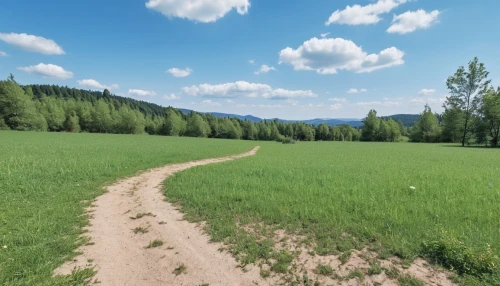 hiking path,online path travel,singletrack,salt meadow landscape,alpine meadows,trail,meadow rues,bieszczady,slowinski national park,allgäu kässspatzen,path,pathway,dirt road,altai,the path,central tien shan,appalachian trail,alpine route,carpathians,meadow and forest,Photography,General,Realistic