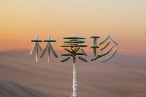 auspicious symbol,inner mongolia,mulan,mongolian,mobile sundial,chinese horoscope,gobi desert,traditional chinese,qinghai,purity symbol,desert background,xiaolongbao,zui quan,japanese character,furin,weathervane design,manjū,desert flower,mantra om,china,Realistic,Flower,Yucca