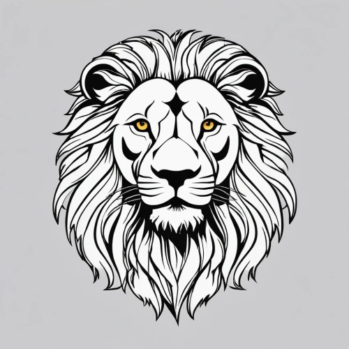 lion white,lion,white lion,panthera leo,lion number,masai lion,skeezy lion,lion head,zodiac sign leo,male lion,lions,two lion,african lion,stone lion,lion father,female lion,lionesses,forest king lion,male lions,automotive decal,Photography,General,Realistic