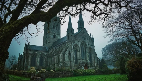 haunted cathedral,st patrick's,ireland,the black church,gothic church,black church,northern ireland,gothic architecture,nidaros cathedral,blood church,templedrom,ireland berries,old graveyard,st mary's cathedral,all saints,dark gothic mood,graveyard,church bells,glasnevin,cathedral,Illustration,Retro,Retro 13