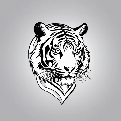 tiger png,tigers,tiger,white tiger,white bengal tiger,type royal tiger,lion white,bengal tiger,a tiger,royal tiger,tiger head,siberian tiger,automotive decal,tigerle,asian tiger,bengal,heart line art,zodiac sign leo,diamond zebra,crest,Photography,General,Realistic