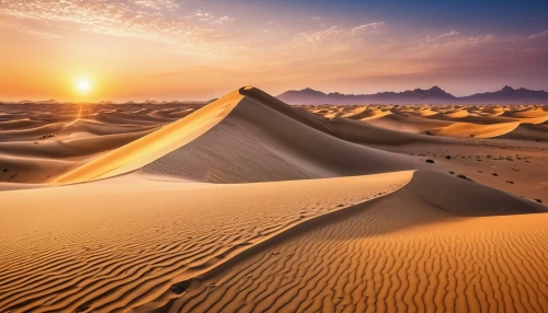 libyan desert,desert desert landscape,desert landscape,capture desert,dubai desert,sahara desert,sahara,desert background,dune landscape,merzouga,admer dune,desert,the desert,crescent dunes,gobi desert,sand dunes,sand paths,united arab emirates,the sand dunes,desertification,Photography,General,Realistic