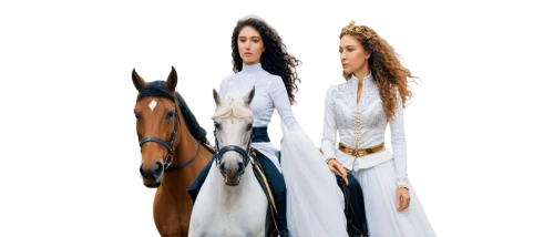 andalusians,arabian horses,horse riders,equine coat colors,endurance riding,equestrian,equestrianism,horsemanship,horseback,arabian horse,horse trainer,equestrian sport,horseback riding,riding lessons,horse breeding,horse herder,two-horses,cuirass,equestrian helmet,equines,Art,Classical Oil Painting,Classical Oil Painting 27