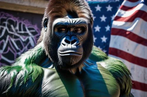 gorilla soldier,gorilla,king kong,silverback,incredible hulk,war monkey,kong,great apes,the american indian,ape,primate,hulk,bodypainting,patriot,american movie,american,amerindien,avenger hulk hero,wolfman,america,Photography,Documentary Photography,Documentary Photography 11