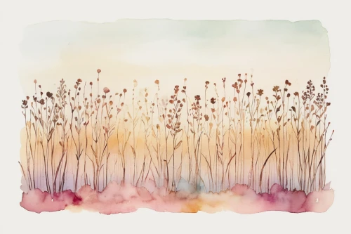 watercolor floral background,meadow in pastel,cotton grass,watercolor flowers,dried flowers,watercolor background,dandelions,grasses in the wind,cattails,dandelion meadow,watercolour flowers,dandelion background,dried flower,dandelion field,cosmos field,watercolor texture,sea carnations,floral digital background,watercolor paint strokes,meadow flowers,Photography,Documentary Photography,Documentary Photography 31