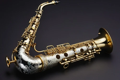 baritone saxophone,tenor saxophone,saxophone,american climbing trumpet,saxhorn,instrument trumpet,vienna horn,brass instrument,sax,flugelhorn,old trumpet,climbing trumpet,bass oboe,clarinet,wind instrument,gold trumpet,trumpet shaped,woodwind instrument,musical instrument,musical instrument accessory,Unique,Pixel,Pixel 02