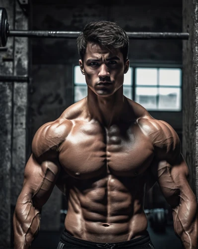 bodybuilding supplement,bodybuilding,body building,crazy bulk,body-building,buy crazy bulk,anabolic,shredded,bodybuilder,muscular build,muscle angle,muscular,edge muscle,muscle icon,biceps curl,danila bagrov,basic pump,ripped,muscle man,muscled,Photography,Black and white photography,Black and White Photography 06