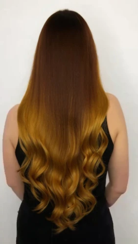 caramel color,golden cut,smooth hair,shoulder length,oriental longhair,rainbow waves,hair,bunny tail,natural color,yellow brown,back of head,asymmetric cut,british semi-longhair,layered hair,golden haired,ringlet,colorpoint shorthair,lace wig,artificial hair integrations,trend color
