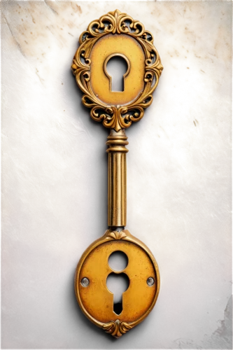 skeleton key,door key,door knocker,escutcheon,keyhole,house key,key hole,doorknob,steam icon,violin key,unlock,ignition key,house keys,door knob,key mixed,door lock,ankh,key-hole captain,key,steam logo,Illustration,Vector,Vector 07