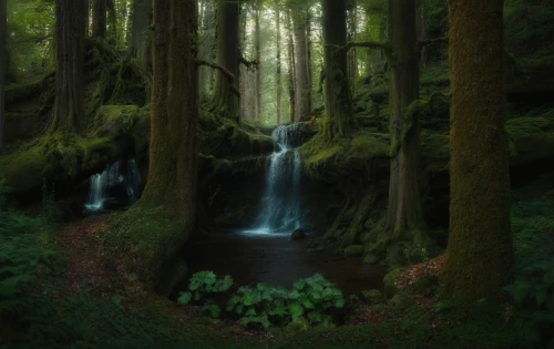 elven forest,fairy forest,fairytale forest,green waterfall,a small waterfall,enchanted forest,mckenzie river,green forest,forest landscape,forest of dreams,forests,the forest,riparian forest,the forests,oregon,forest,old-growth forest,foggy forest,forest glade,forest moss,Photography,General,Natural