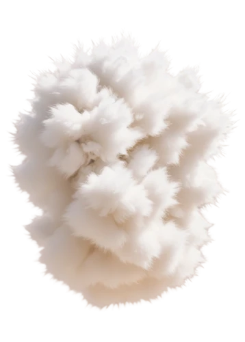 cloud mushroom,fragrant snowball,pompom,cotton boll,cumulus nimbus,sheep wool,hericium,angora,ostrich feather,klepon,blowball,cumulus cloud,dust cloud,snow ball,cloud roller,snowball,cotton grass,soft coral,cloud image,swelling cloud,Illustration,Black and White,Black and White 16