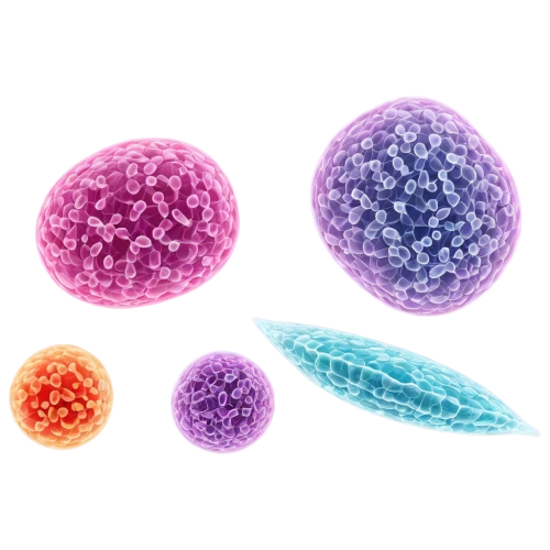 coronaviruses,globules,cell structure,coronavirus,erythrocyte,testicular cancer,blood cells,chromosomes,coronavirus test,t-helper cell,cell division,cytoplasm,coronavirus disease covid-2019,cells,biosamples icon,pathogens,short-tailed cancer,meiosis,mitosis,colorful eggs,Conceptual Art,Sci-Fi,Sci-Fi 25