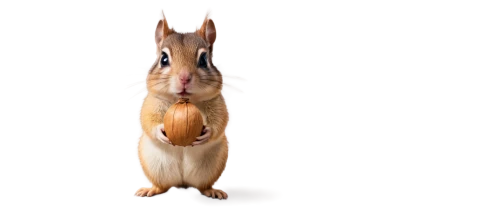 abert's squirrel,sciurus carolinensis,jerboa,grasshopper mouse,sciurus,rodentia icons,indian palm squirrel,squirell,gerbil,atlas squirrel,sciurus major,african bush squirrel,squirrel,eurasian squirrel,ratatouille,eurasian red squirrel,douglas' squirrel,musical rodent,kangaroo rat,red squirrel,Illustration,Abstract Fantasy,Abstract Fantasy 17