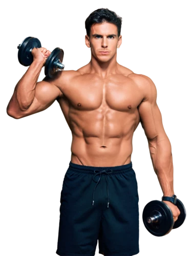 bodybuilding supplement,biceps curl,body building,bodybuilding,dumbbells,dumbbell,body-building,anabolic,bodybuilder,pair of dumbbells,dumbell,kettlebells,kettlebell,buy crazy bulk,strongman,muscle icon,upper body,crazy bulk,personal trainer,fitness coach,Conceptual Art,Sci-Fi,Sci-Fi 19