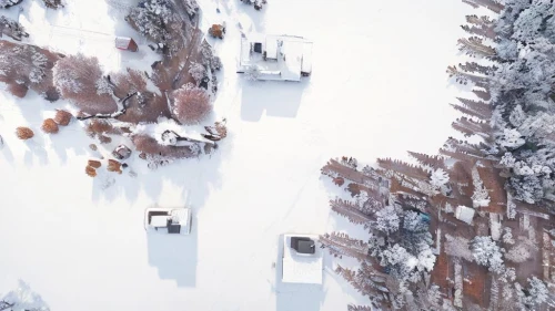 steep,snow trees,cable skiing,gondola lift,ski resort,finland,snow in pine trees,snow bridge,snow trail,finnish lapland,ski cross,steep mountain pass,snow roof,ski jumping,ski race,aerial landscape,snow tracks,ski jump,to ski,deep snow,Landscape,Landscape design,Landscape Plan,Winter