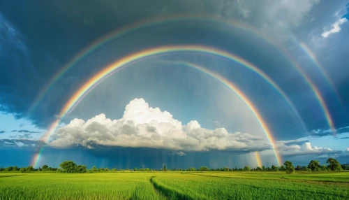 double rainbow,rainbow background,rainbow bridge,atmospheric phenomenon,rainbow,raimbow,rainbow clouds,pot of gold background,meteorological phenomenon,rainbow colors,natural phenomenon,colors rainbow,moonbow,rainbow pencil background,rainbow pattern,rainbow at sea,rainbow and stars,rainbow tags,rainbow jazz silhouettes,rainbow color palette,Photography,General,Realistic