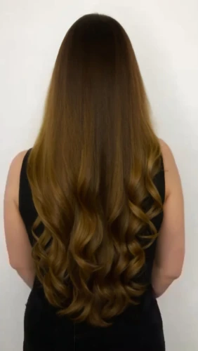 smooth hair,caramel color,british semi-longhair,cg,layered hair,shoulder length,ringlet,hair,artificial hair integrations,asian semi-longhair,hair shear,bunny tail,back of head,oriental longhair,asymmetric cut,golden cut,british longhair,curl,natural color,bear bow