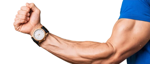 biceps curl,arm,arm strength,bodybuilding supplement,arms,triceps,fitness band,forearm,wristwatch,muscle angle,muscle icon,fitness tracker,smartwatch,wearables,rotator cuff,wrist watch,biceps,muscles,muscular,buy crazy bulk,Conceptual Art,Fantasy,Fantasy 31