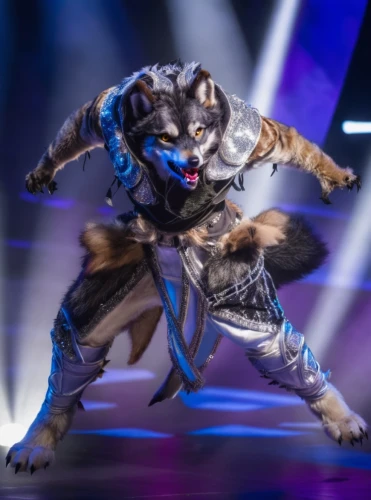 cat warrior,west siberian laika,furry,furta,east siberian laika,siberian,constellation wolf,cordoba fighting dog,schutzhund,rein,armored animal,warrior pose,posavac hound,rex cat,fierce,wolf,wall,bow with rhythmic,laika,fighting stance,Photography,General,Realistic