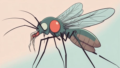 mosquito,artificial fly,pellucid hawk moth,housefly,mosquitoe,horse flies,winged insect,delicate insect,membrane-winged insect,house fly,flower fly,bombyliidae,insect,malaria,bugs,miridae,flies,bombyx mori,cosmeatria,drosophila