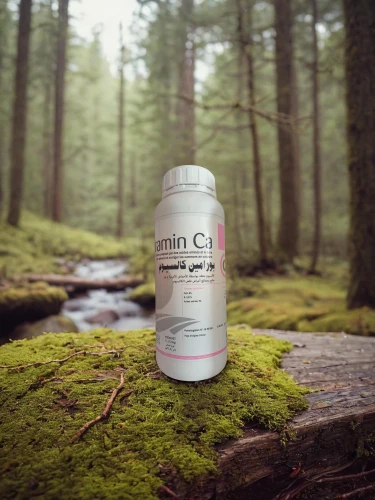 gluten-free beer,trillium,eastern hemlock,ginseng,packshot,canadian fir,slippery elm,tin can,canoe birch,red pine,beer can,cans,energy drink,cans of drink,cola can,kombucha,temperate coniferous forest,spruce forest,mountain fink,wild grain