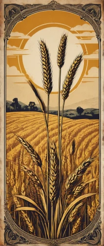 einkorn wheat,wheat crops,seed wheat,sprouted wheat,wheat fields,triticum durum,wheat field,wheat grain,wheat ear,khorasan wheat,strands of wheat,wheat grasses,wheat ears,triticale,wheat,dinkel wheat,durum wheat,strand of wheat,wheat beer,winter wheat,Photography,Fashion Photography,Fashion Photography 09