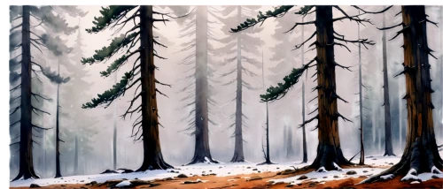 winter forest,coniferous forest,forest background,fir forest,temperate coniferous forest,spruce forest,spruce-fir forest,pine trees,snow trees,snow in pine trees,fir trees,winter background,spruce trees,pine forest,forests,forest landscape,birch forest,watercolor pine tree,watercolor background,coniferous,Illustration,Paper based,Paper Based 25