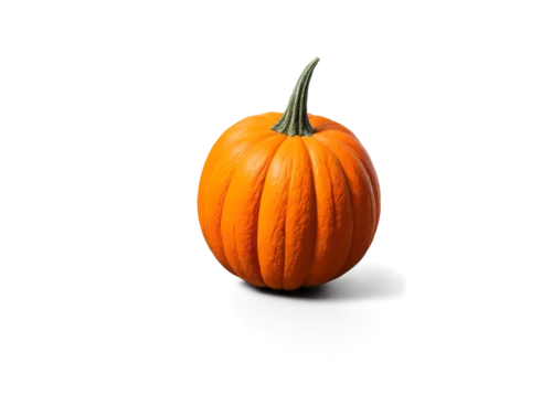 calabaza,cucurbita,candy pumpkin,halloween pumpkin,pumpkin,hokkaido pumpkin,white pumpkin,jack-o'-lantern,pumkin,halloween pumpkin gifts,cucuzza squash,decorative pumpkins,gem squash,jack o'lantern,scarlet gourd,pumpkin lantern,jack-o-lantern,gourd,figleaf gourd,jack o lantern,Photography,Artistic Photography,Artistic Photography 13