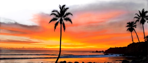 watercolor palm trees,sunset beach,laguna beach,sunrise beach,hawaii,luau,beach landscape,photo painting,coconut palms,coast sunset,palm silhouettes,coconut trees,aloha,palm tree silhouette,two palms,dream beach,beach scenery,landscape background,palm tree,blue hawaii,Illustration,Abstract Fantasy,Abstract Fantasy 06