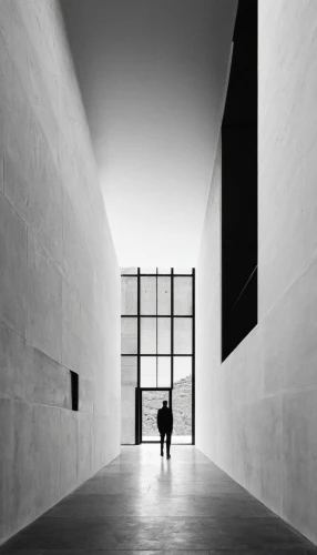 white room,blackandwhitephotography,minimalism,contemporary,art museum,louvre,art gallery,hall of the fallen,holocaust museum,minimal,wall,corridor,gallery,architectural,whitespace,opaque panes,soumaya museum,archidaily,forms,white space,Illustration,Black and White,Black and White 33